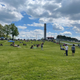 Image for article titled This Is What It's Like To Attend An IMSA Race During A Pandemic